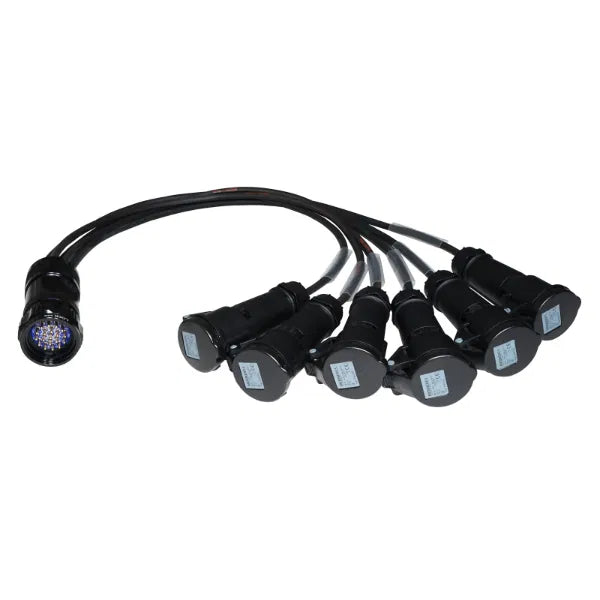 Socapex 19-Pin Male - 16A Female 1.5mm Fan-Out Cable