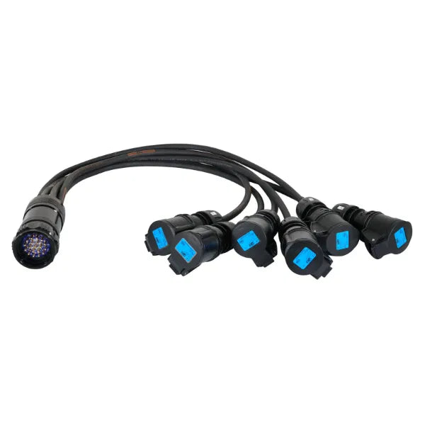 Socapex 19-Pin Male - 16A Female 2.5mm Fan-Out Cable