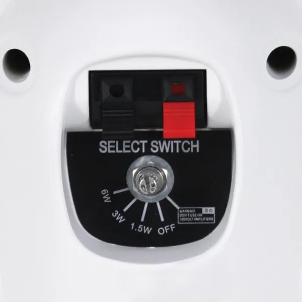 BGS 20T White 100V Speakers (Pair)