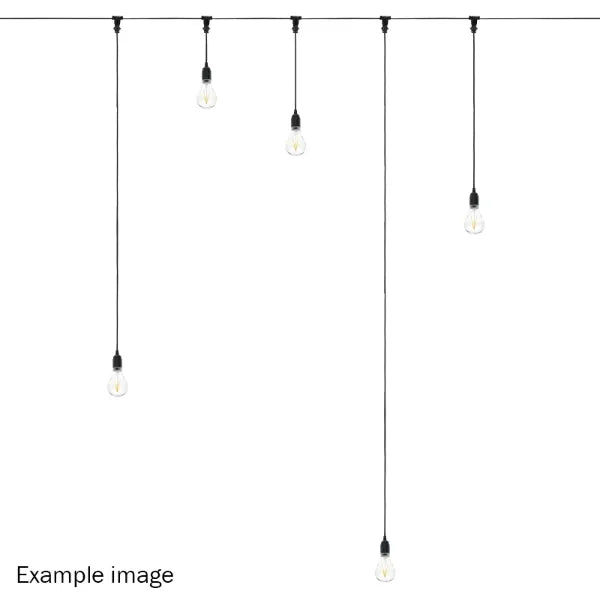 0.25m BC Festoon Pendant - B22 Lamp Holder