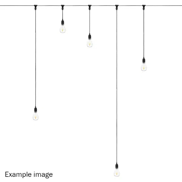 2.0m BC Festoon Pendant - B22 Lamp Holder