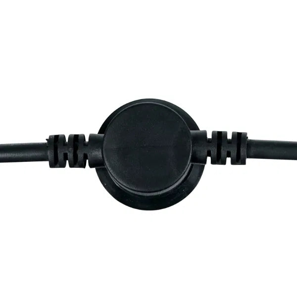 10m ES Festoon, 1m Spacing