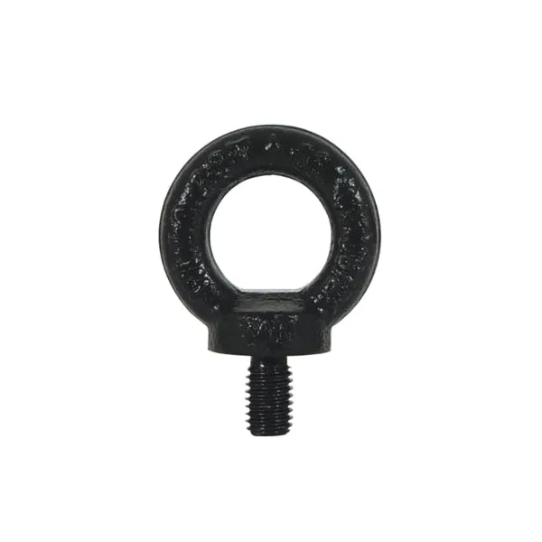M10 DIN 580 Eyebolt, Black