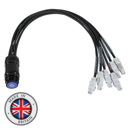 powerCON - Socapex 19-Pin Female 1.5mm Fan-In Cable