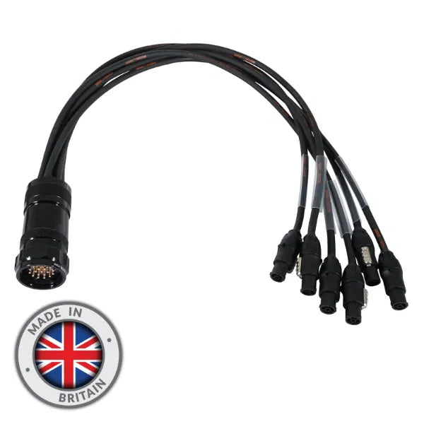 Socapex 19-Pin Male powerCON TRUE1 2.5mm Fan-Out Cable