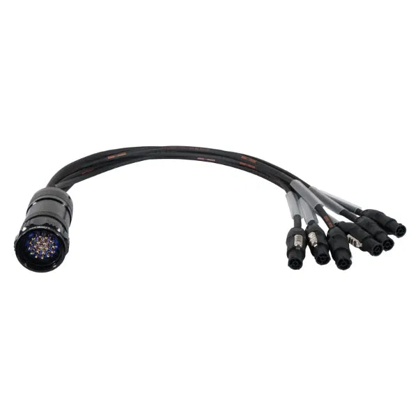 Socapex 19-Pin Male - powerCON TRUE1 1.5mm Fan-Out Cable