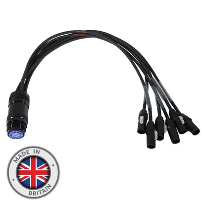 powerCON TRUE1 - Socapex 19-Pin Female 1.5mm Fan-In Cable