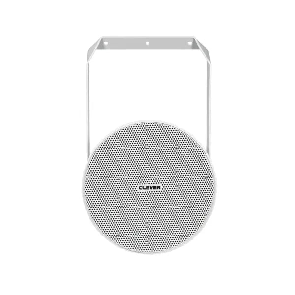 PS 620 100V 6" 15W Projector Speaker
