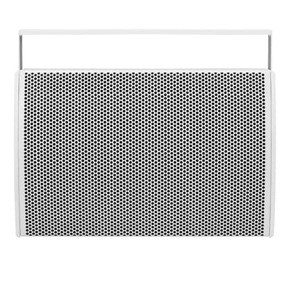 SVT 250 White Speaker