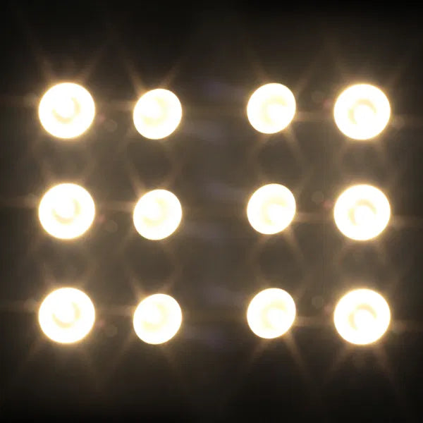 200W COB 3,200K 2 Cell Blinder