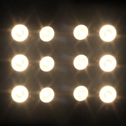 200W COB 3,200K 2 Cell Blinder