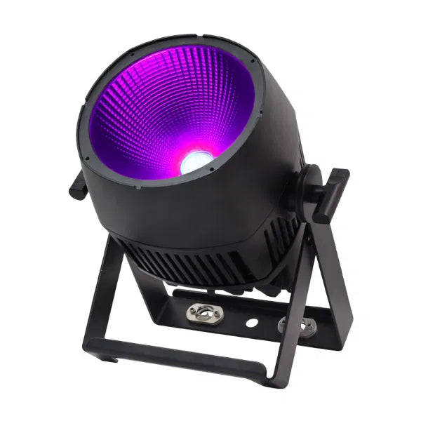Endura UV100 COB Exterior Fixture
