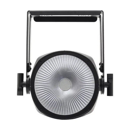 Endura UV100 COB Exterior Fixture