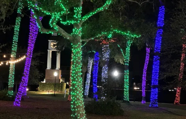 Rubber Connectable, Dimmable LED String Lights Purple, 10m