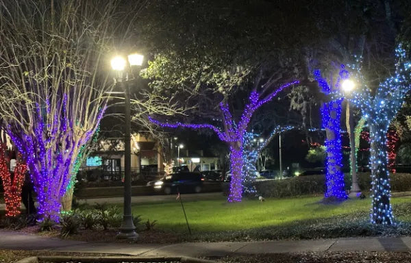 Rubber Connectable, Dimmable LED String Lights Purple, 20m