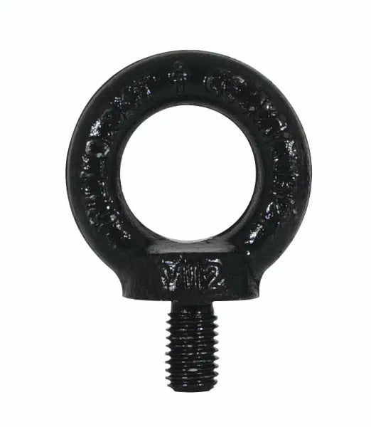 M12 DIN 580 Eyebolt, Black